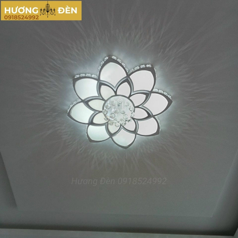 Đèn ốp trần mica chính hãng OT40T800