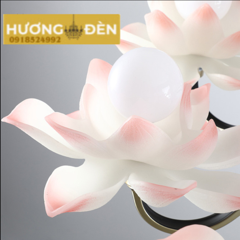 den-chum-hoa-sen-8-chd9