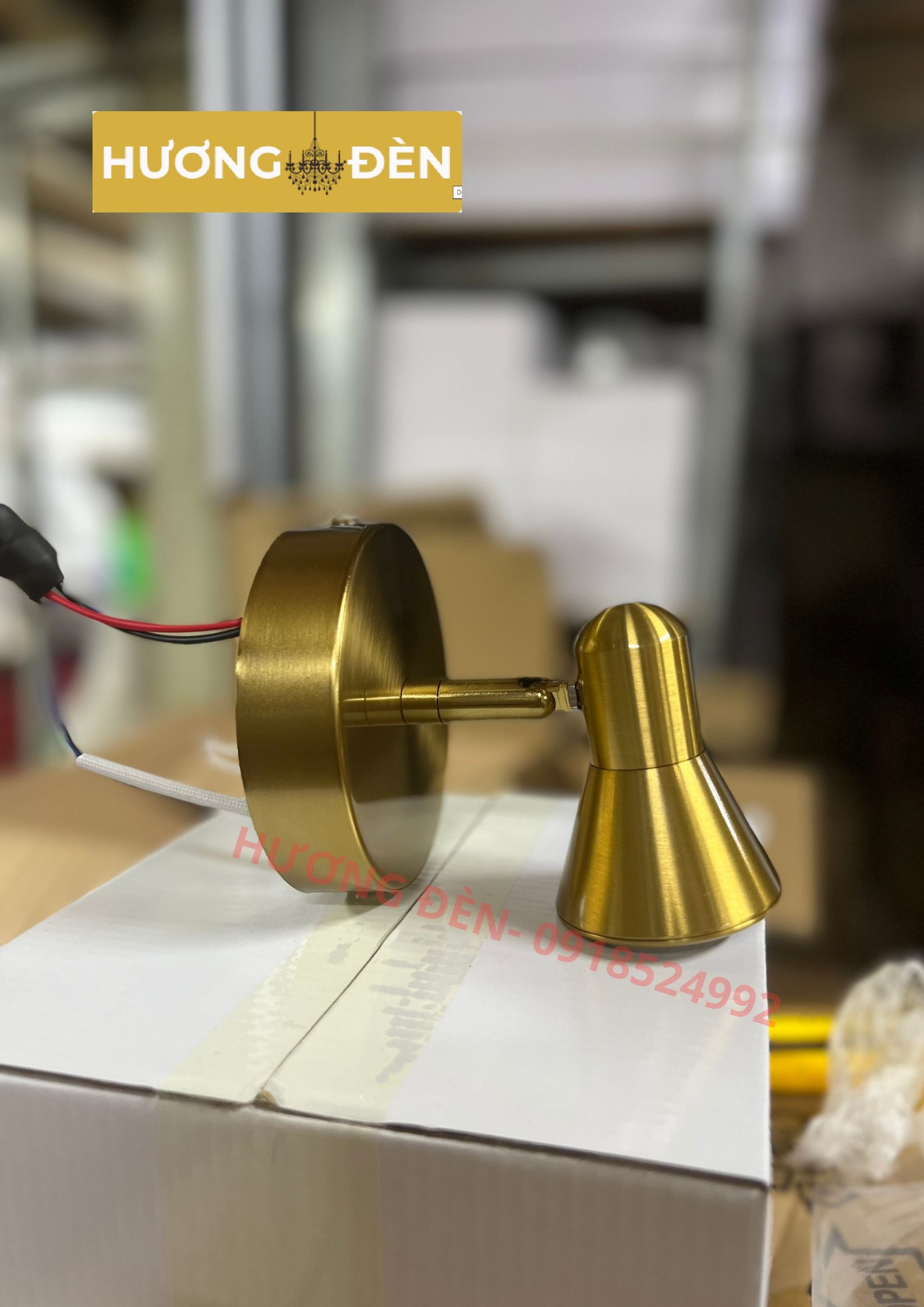 ĐÈN RỌI TRANH RT5879T1